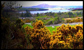 In the Connemara Mountains