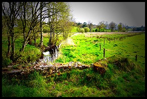 Glaslough field and stream