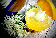 Elderflower cordial