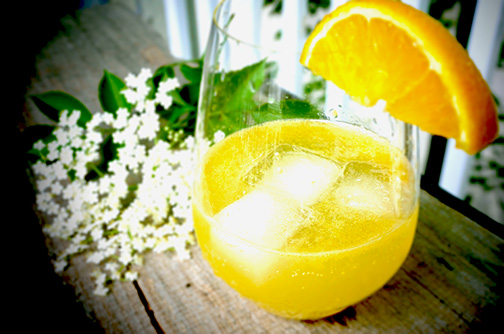 Elderflower cordial in a glass