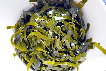 seaweed